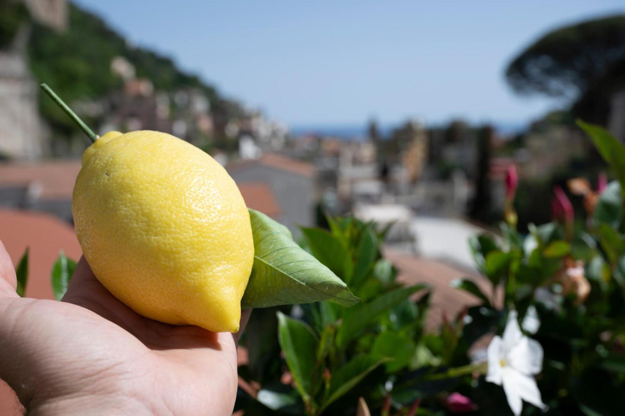Valle D'Amalfi Suites Экстерьер фото